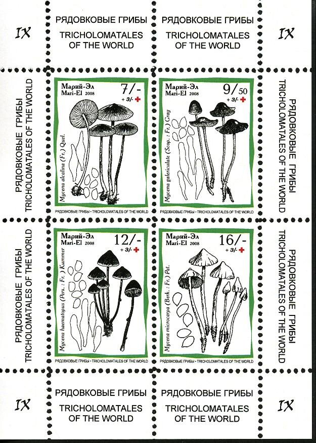 Mushrooms XI