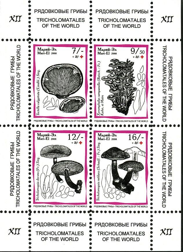 Mushrooms XII