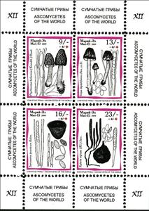 Mini Sheet, Mushrooms XII, Cinderellas,  , Mushrooms