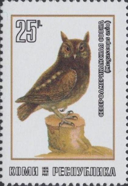 Owl