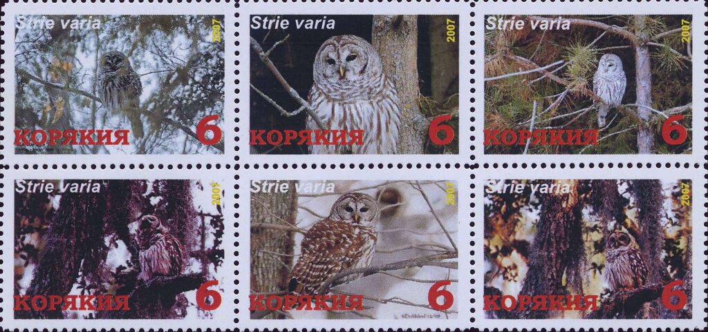 Owls