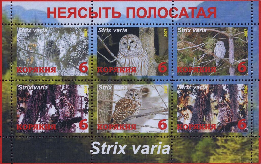 Owls
