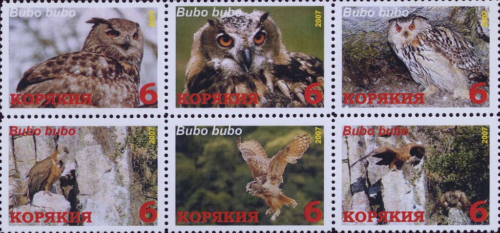 Owls