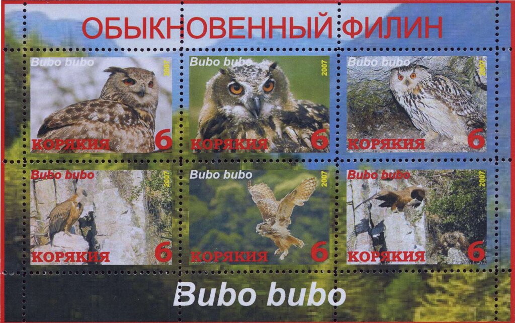 Owls