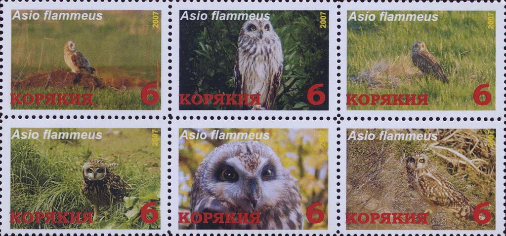 Owls