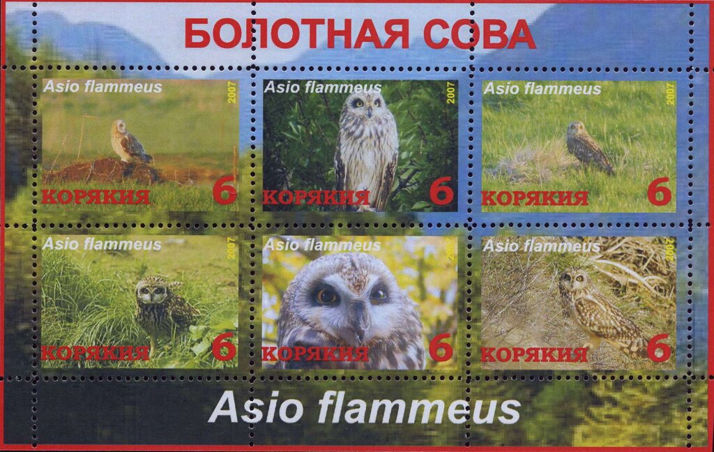 Owls