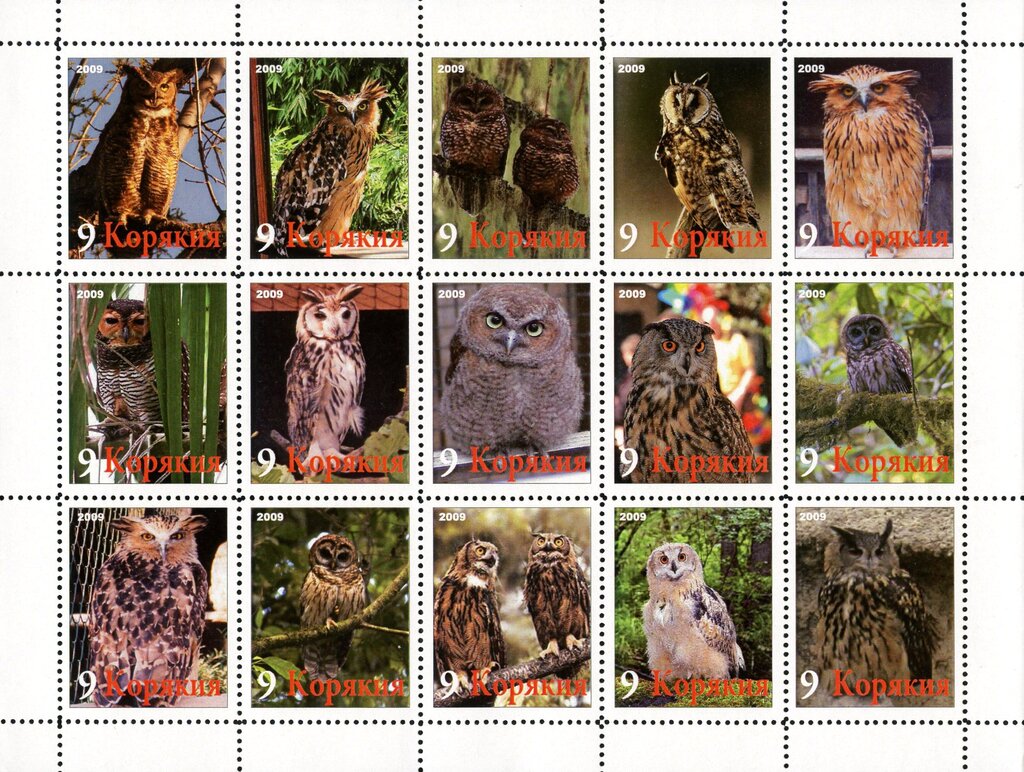 Owls