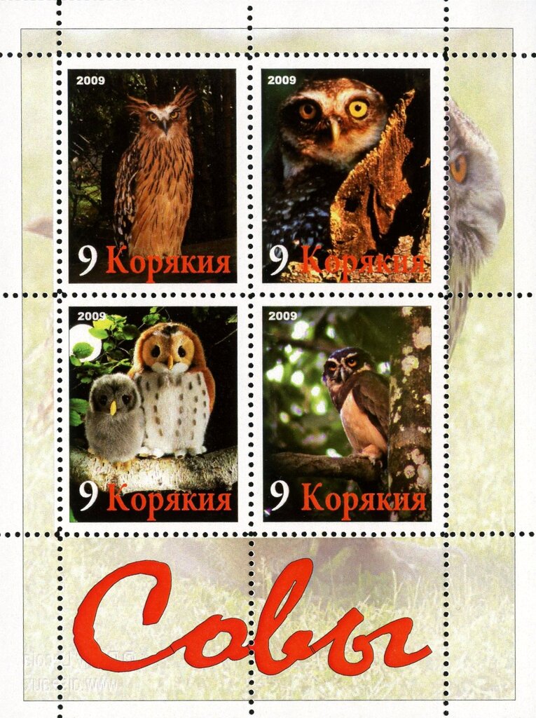 Owls