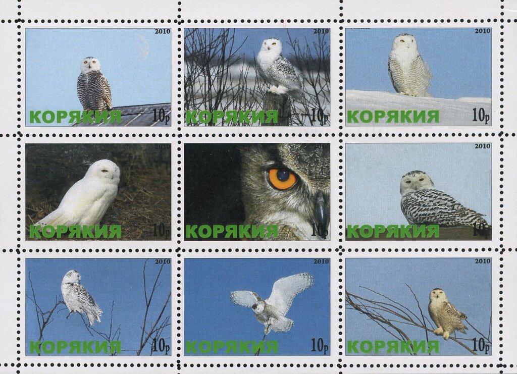 Owls