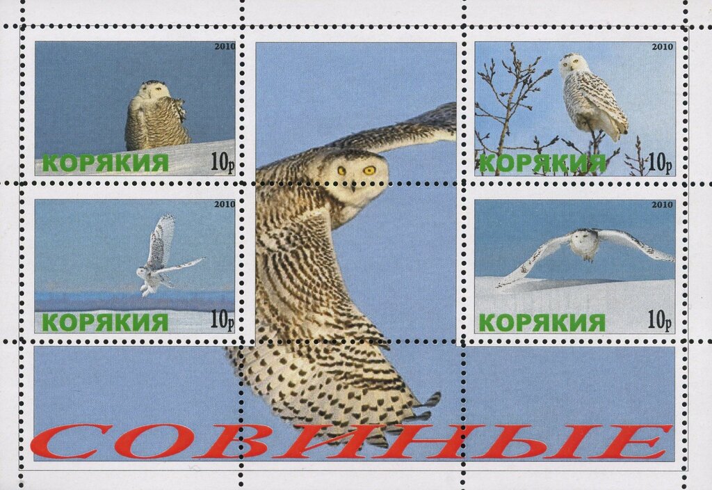 Owls