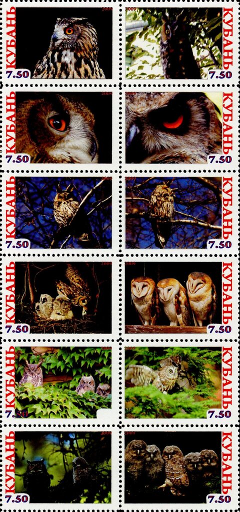 Owls