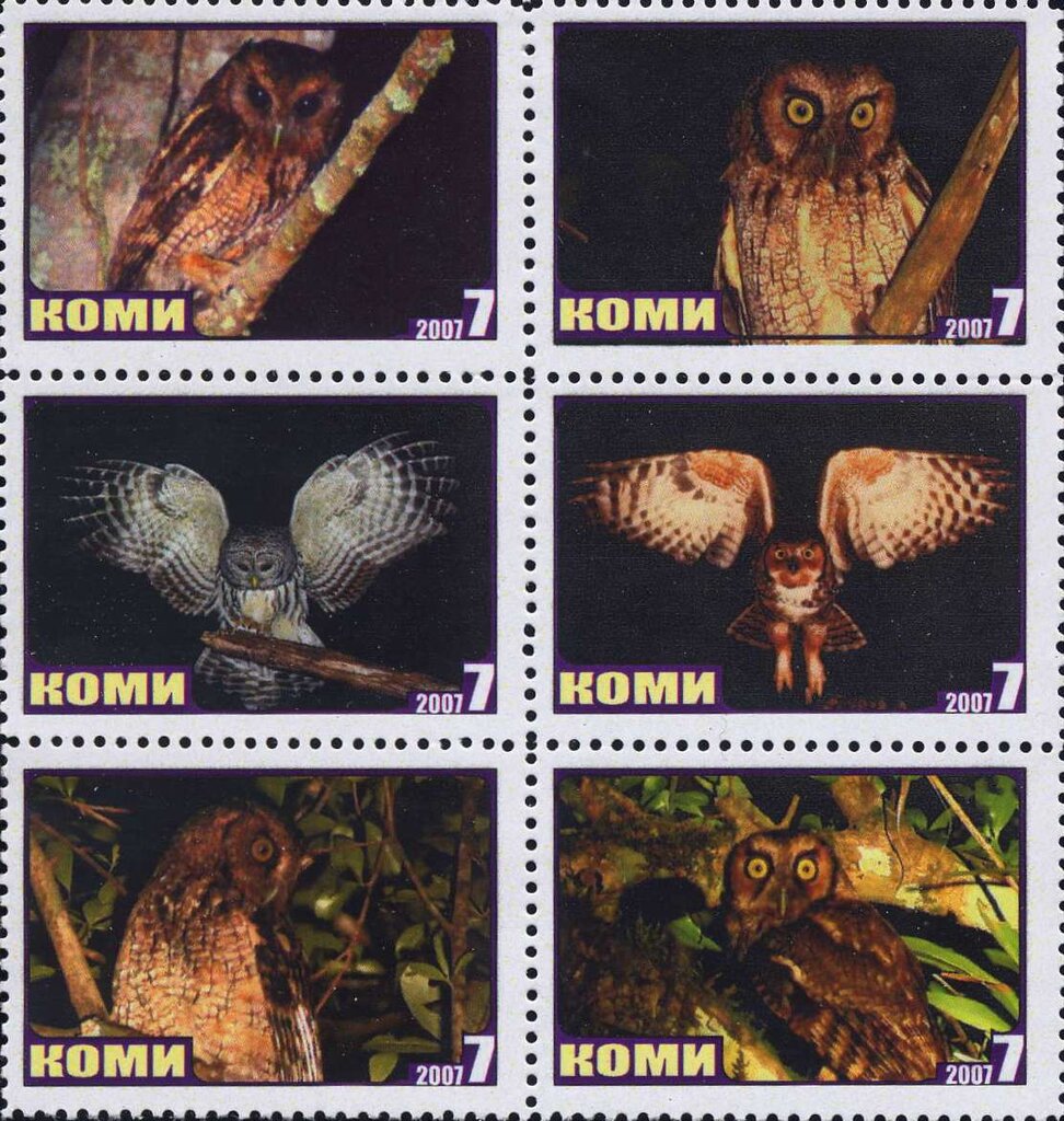 Owls