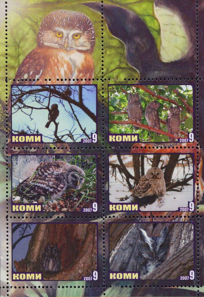Owls