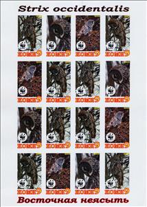 Mini Sheet, Owls, Cinderellas,  , Animals (Fauna), Birds, Owls
