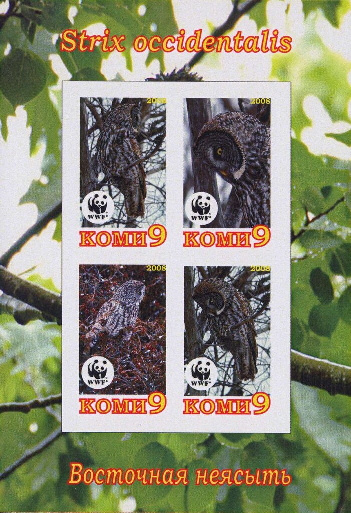 Owls