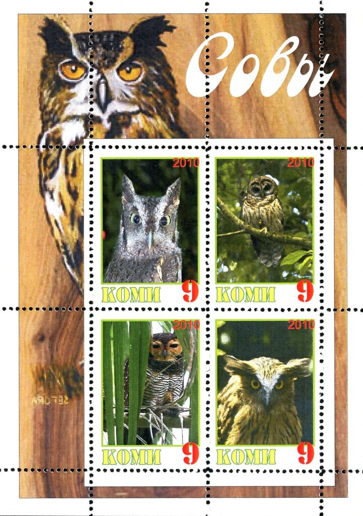 Owls