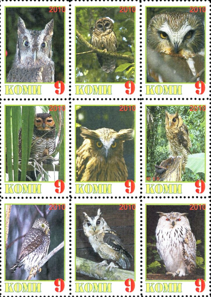 Owls