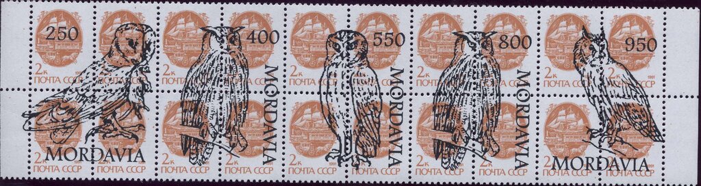 Owls