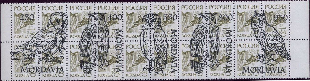 Owls