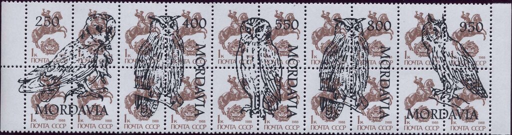 Owls