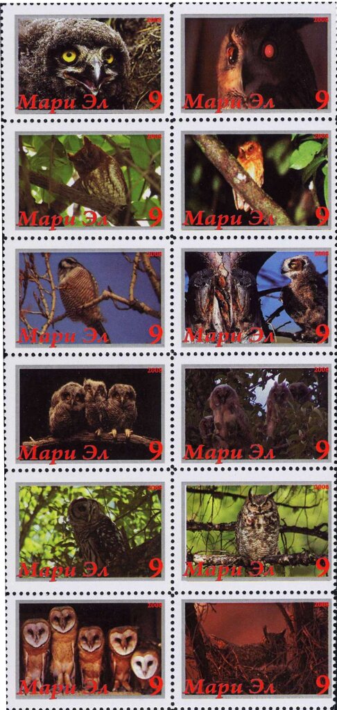 Owls