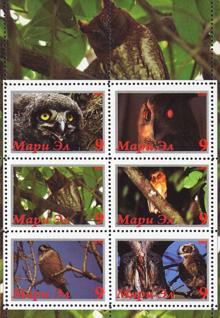 Owls