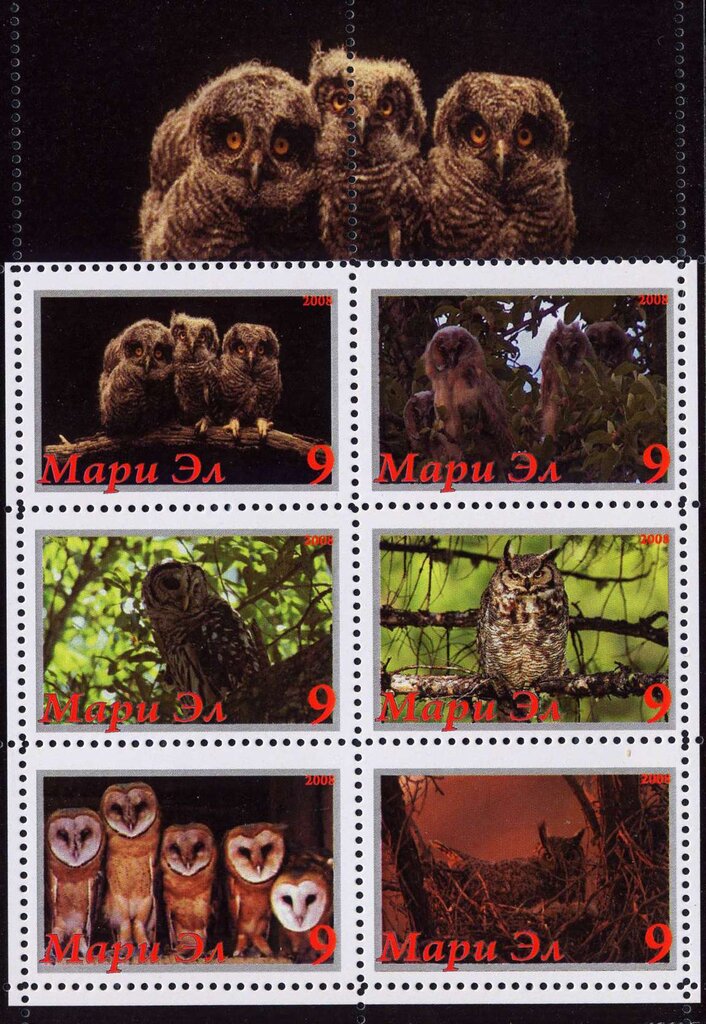 Owls