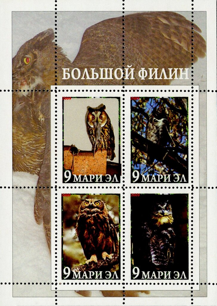 Owls