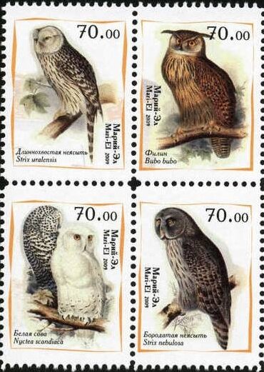 Owls