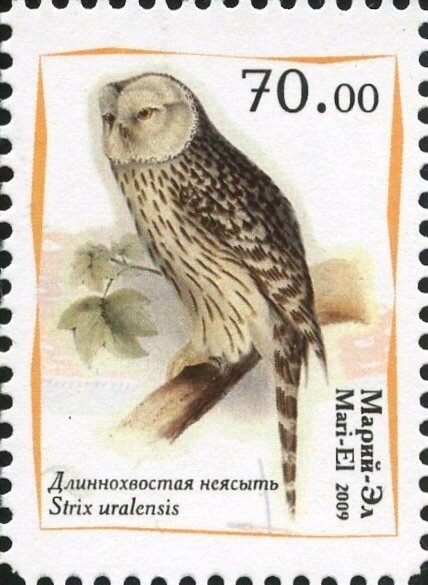 Owls