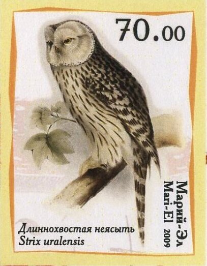 Owls