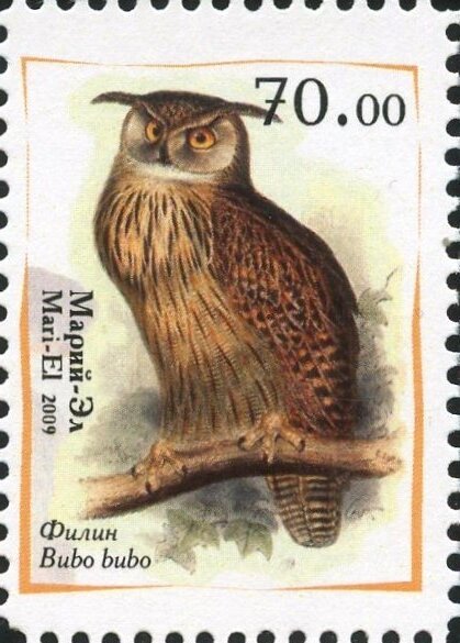 Owls