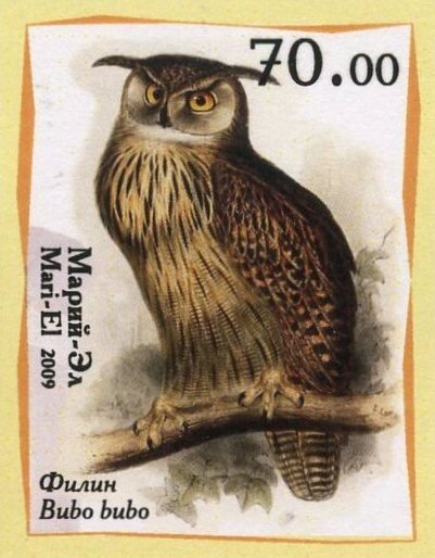 Owls