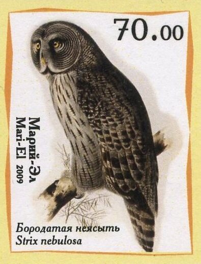 Owls