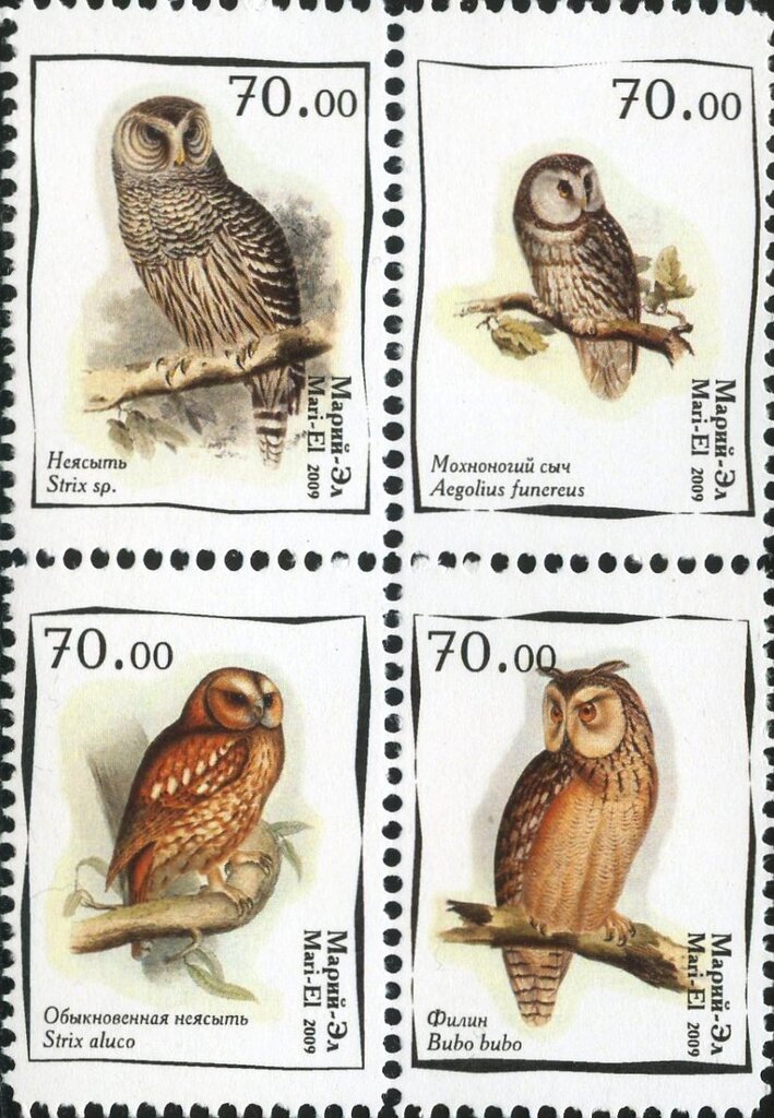 Owls