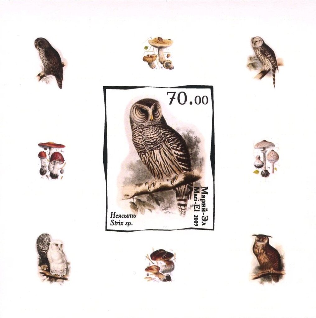 Owls