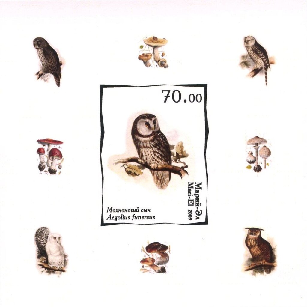 Owls