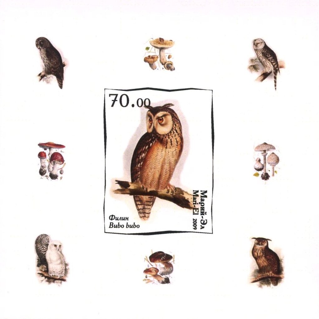 Owls