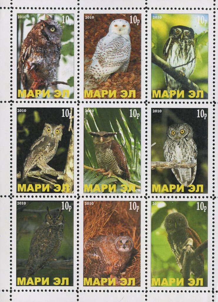 Owls