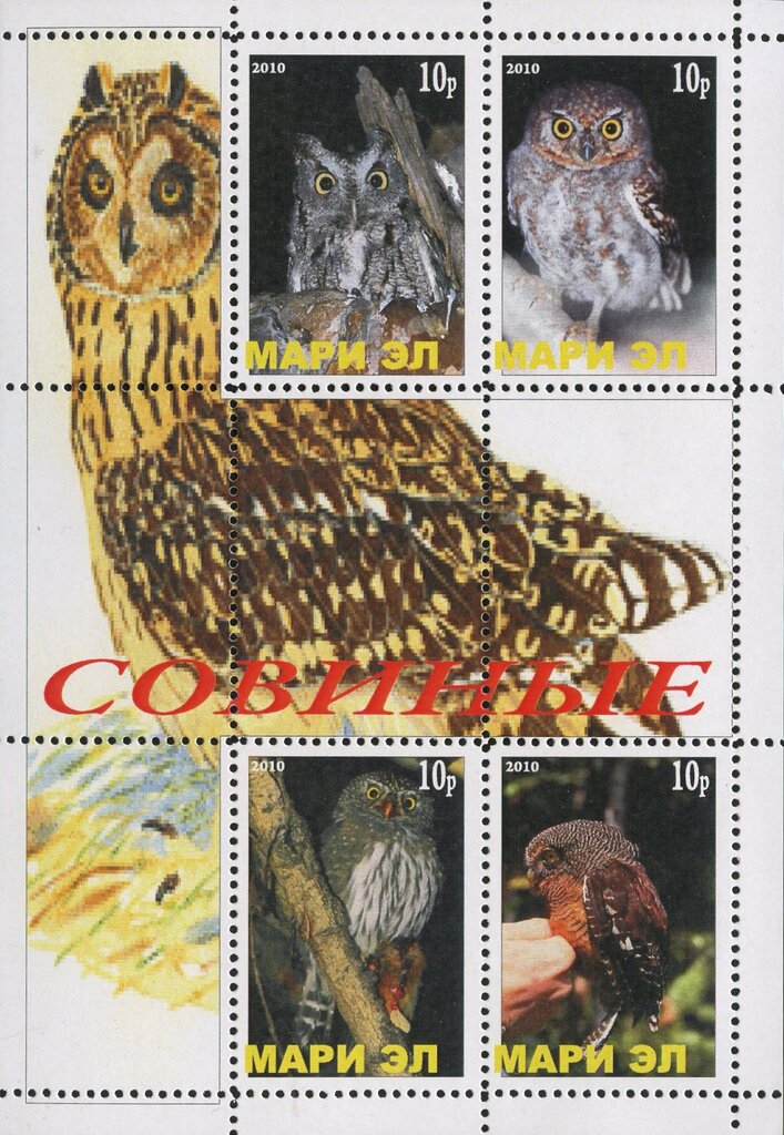 Owls