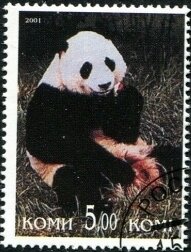 Stamp, Pandas, Cinderellas,  , Animals (Fauna), Mammals, Pandas