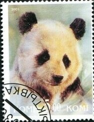 Pandas