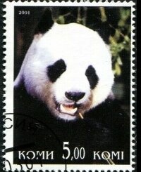 Stamp, Pandas, Cinderellas,  , Animals (Fauna), Mammals, Pandas