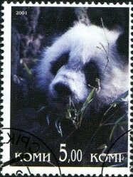 Pandas