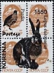 Rabbits
