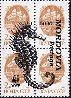 Seahorses