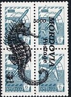 Seahorses
