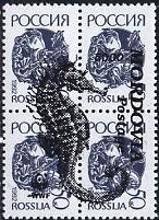 Seahorses