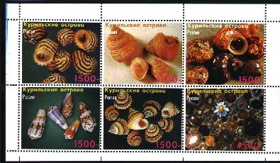 Shells