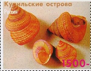 Stamp, Shells, Cinderellas,  , Shells